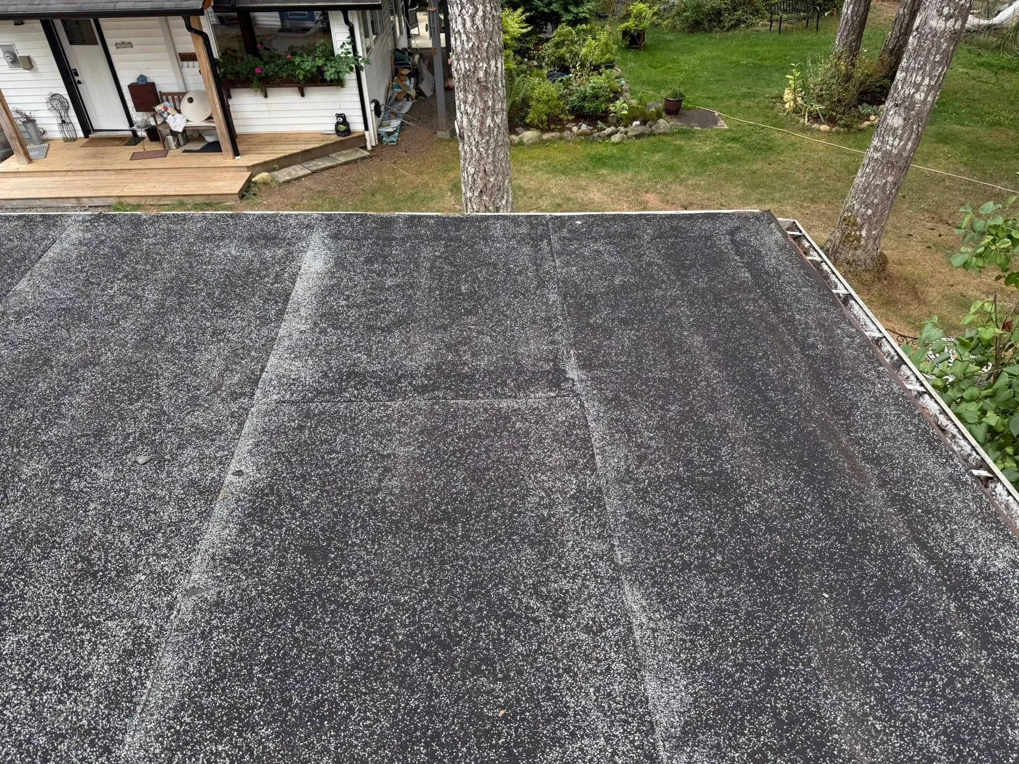 Asphalt shingle installation Campbell River